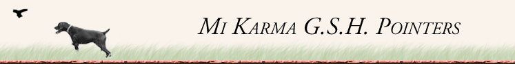 Mi Karma GSP