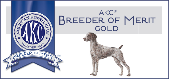 Breeder of Merit - Silver