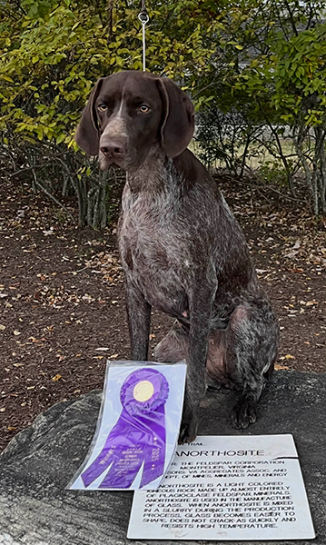 Chai Winners Chai sitting
