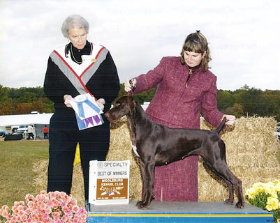 Crayola Award of Merit