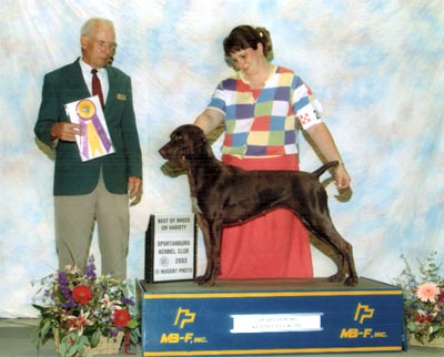 Crayola Best of Breed