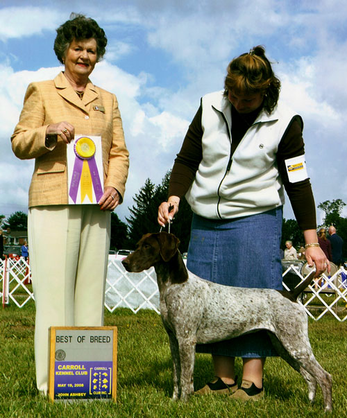 Pazia BOB Carroll KC